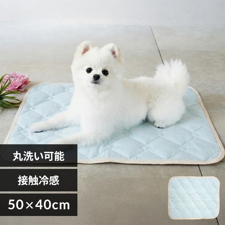 adorable pet�fs �V���J�Q���⊴�}�b�gS CM-86SBL-AP �u���[