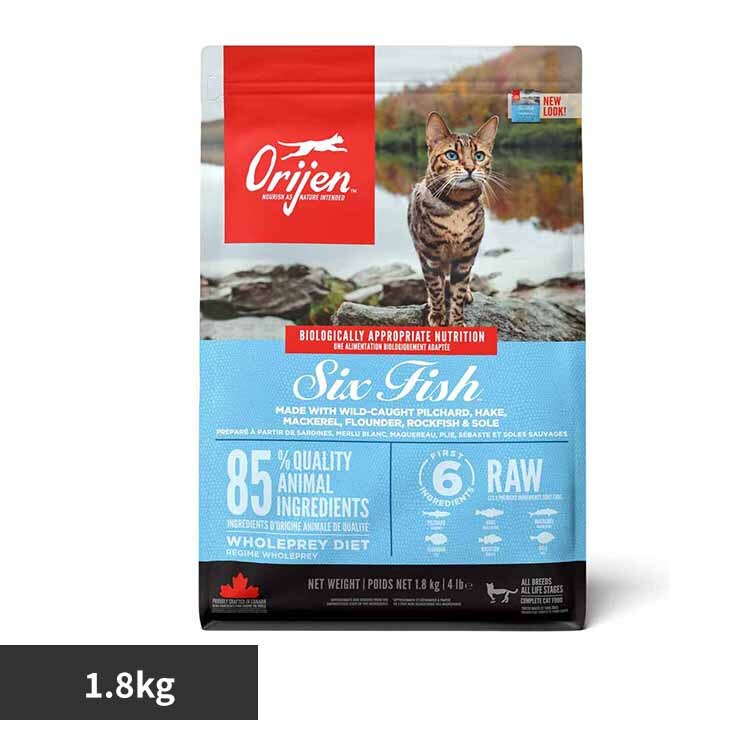 �I���W�� �I���W�� �V�b�N�X�t�B�b�V�� �L���b�g 1.8�s