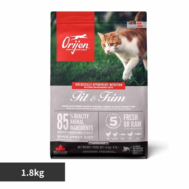 �I���W�� �I���W�� �t�B�b�g���g���� �L���b�g 1.8�s