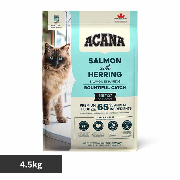 �A�J�i �A�J�i �o�E���e�B�t���L���b�` 4.5�s