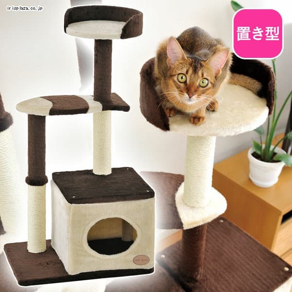 �L�̂������у|�[�� �����t�@�~���[ �~�h���^�C�v