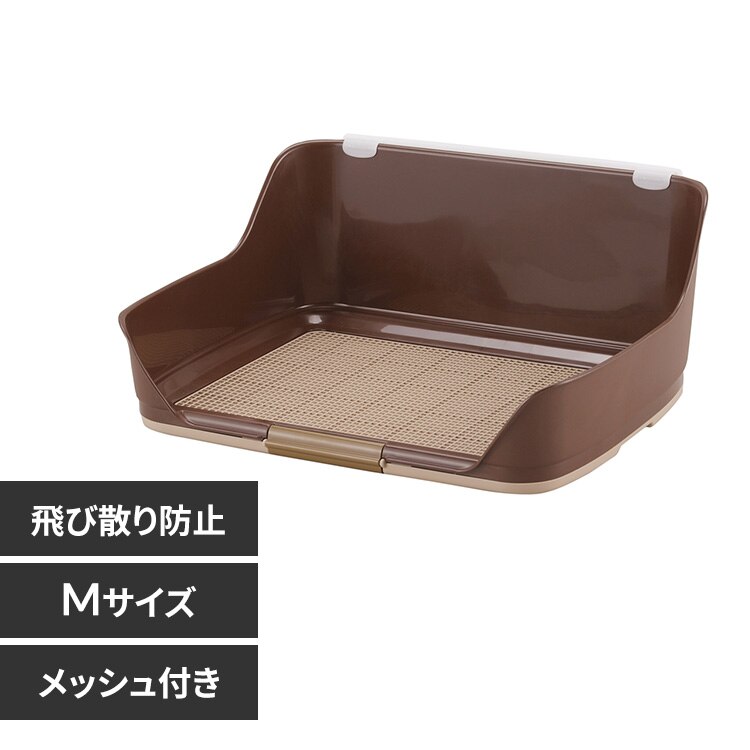 �{���r�A���R�� ������E�H�[���g���[ M �u���E��