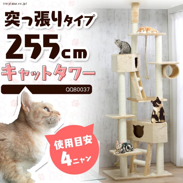 ��V��˂������L���b�g�^���[ QQ80037 �x�[�W��