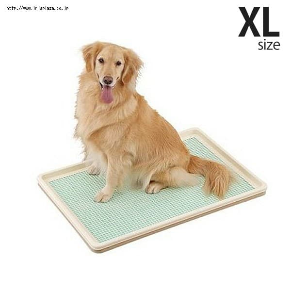 �{���r�@������g���[XL�@���b�V���^�C�v�@�I�t�z���C�g[LP]