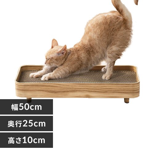 �v���C�E�b�h �܂Ƃ��P�[�X PW-TC50 �i�`������