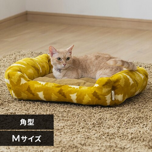 �\�t�@�x�b�h�p�`�l PSKN-530 �}�X�^�[�h