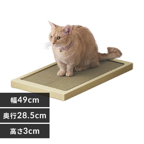 �L�̂߂Ƃ� ���C�h�^�C�v P-NTW-290R �i�`������