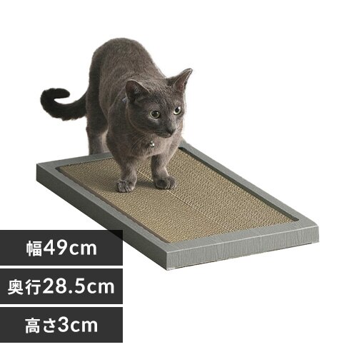 �L�̂߂Ƃ� ���C�h�^�C�v P-NTW-290R �u���E��