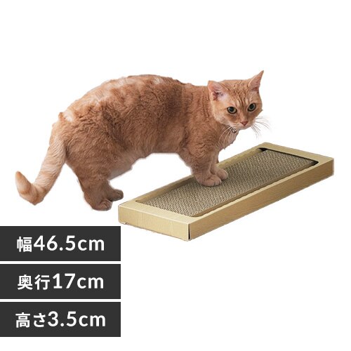 �L�̂߂Ƃ� �X�����^�C�v NTST-1P �i�`������