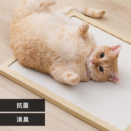 NECOCOCHI �˂����� NECOCOCHI NCC-45 �i�`������