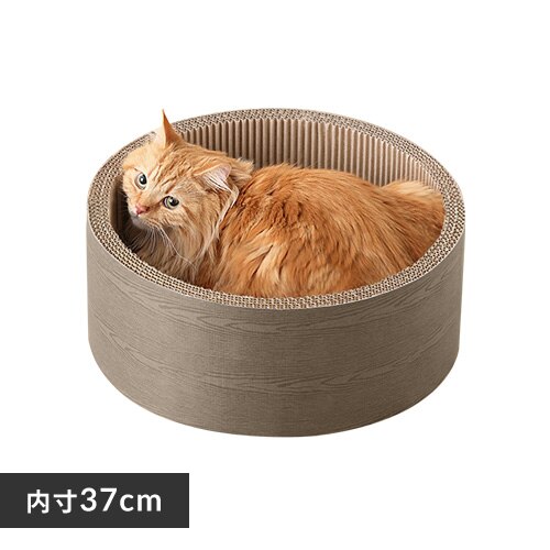 ���`�[�t�܂Ƃ� �{�E���^�C�v P-MTB-42 �u���E��