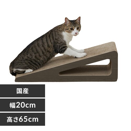 ���`�[�t�܂Ƃ� �X�^���h�^�C�v P-MTS-65 �u���E��