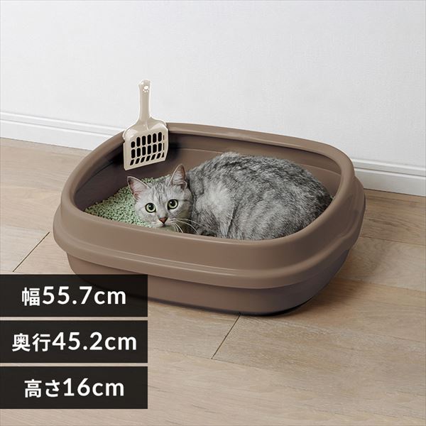 �l�R�̃g�C�� NE-550 �u���E��