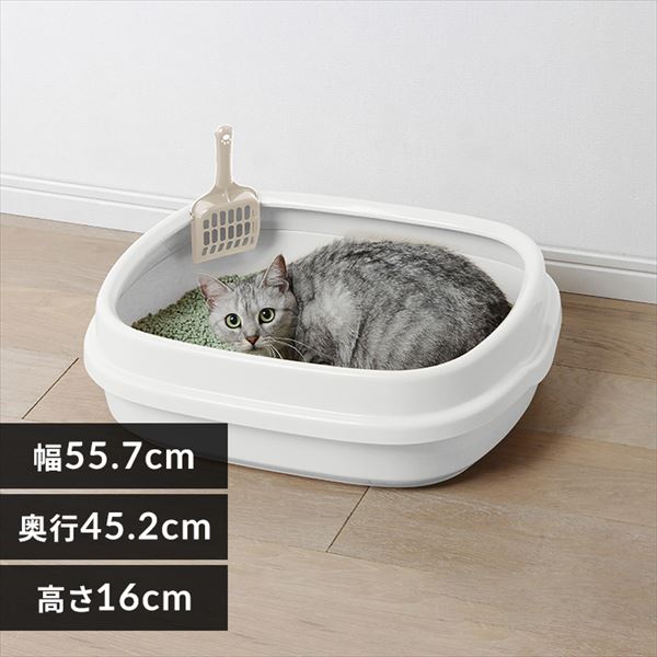 �l�R�̃g�C�� NE-550 �z���C�g