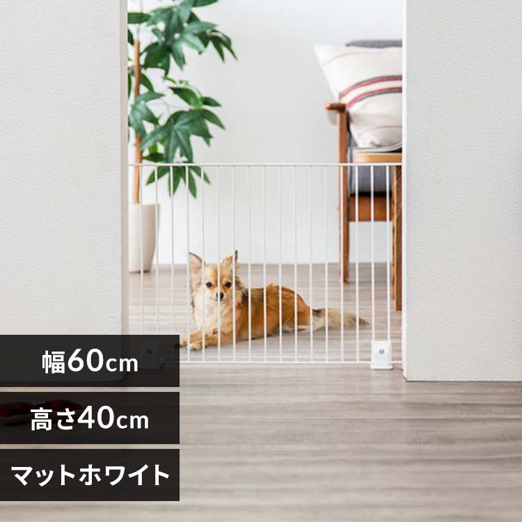 【単品】ペットフェンス P-SPF-64 マットホワイト 高さ40×幅60cm ペットゲート 置くだけで簡単 自立式 犬 猫 脱走防止 ジョイント式 ロータイプ ハイタイプ 選べる高さ 柵 アイリスオーヤマ ペットサークル