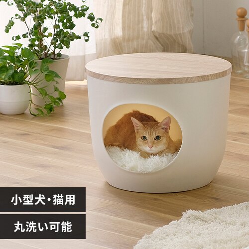 �C���e���A�y�b�g�n�E�X IPH-424 ���C�g�i�`������