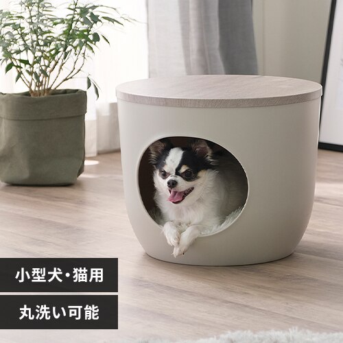 �C���e���A�y�b�g�n�E�X IPH-424 �A�b�V���O���[