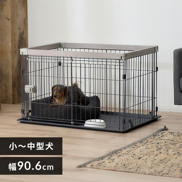 �E�b�f�B�V�X�e���T�[�N�� SWS-900 �A�b�V���O���[