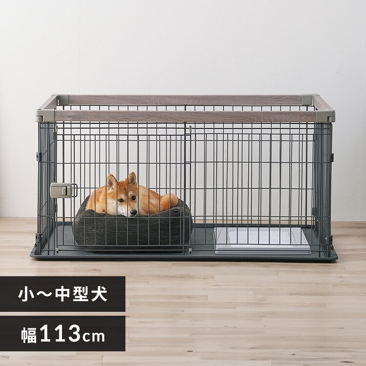 �E�b�f�B�V�X�e���T�[�N�� SWS-1200 �A�b�V���O���[