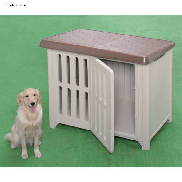 �{�u�n�E�X�@1200