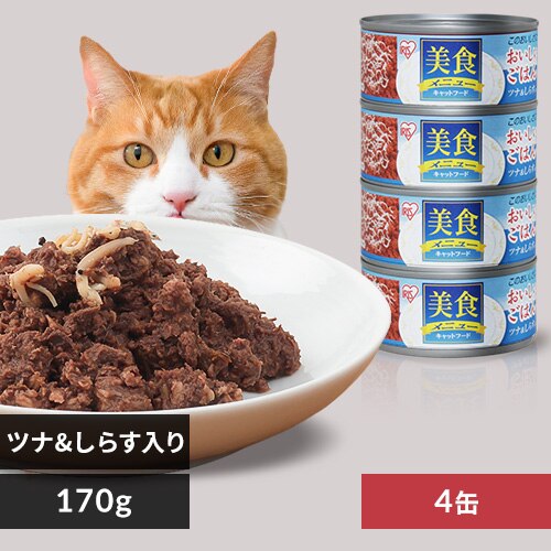 ���H���j���[�����������͂�c�i�����炷���� CBR-170F 170g�~4�� 