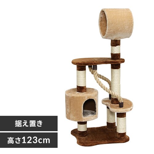 �L���b�g�����h�@CLF-6�@�u���E��