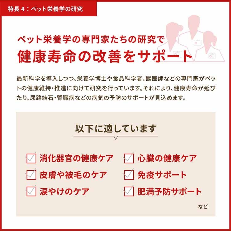 アカナ シニアドッグレシピ 2kg 【プラザセレクト】