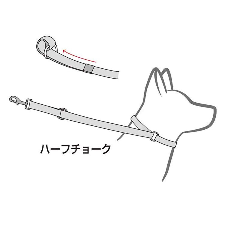 EZYDOG リード ヴァリオ4 【プラザセレクト】