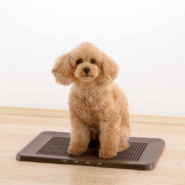 リッチェル お掃除簡単フラットトレー レギュラー