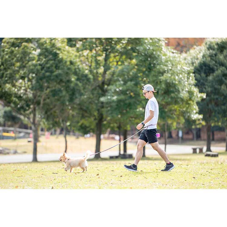 EZYDOG リード ロードランナーライト 【プラザセレクト】