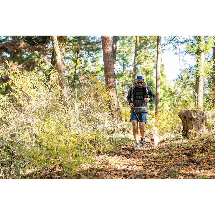 EZYDOG リード ロードランナーライト 【プラザセレクト】