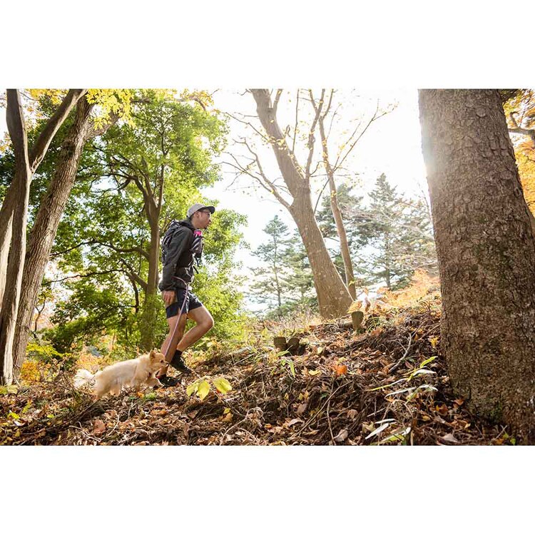 EZYDOG リード ロードランナーライト 【プラザセレクト】