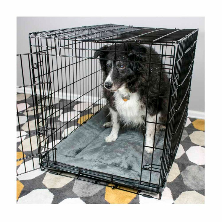 ダッドウェイペット クレート･ベッド/S PTTL142418 【プラザセレクト】