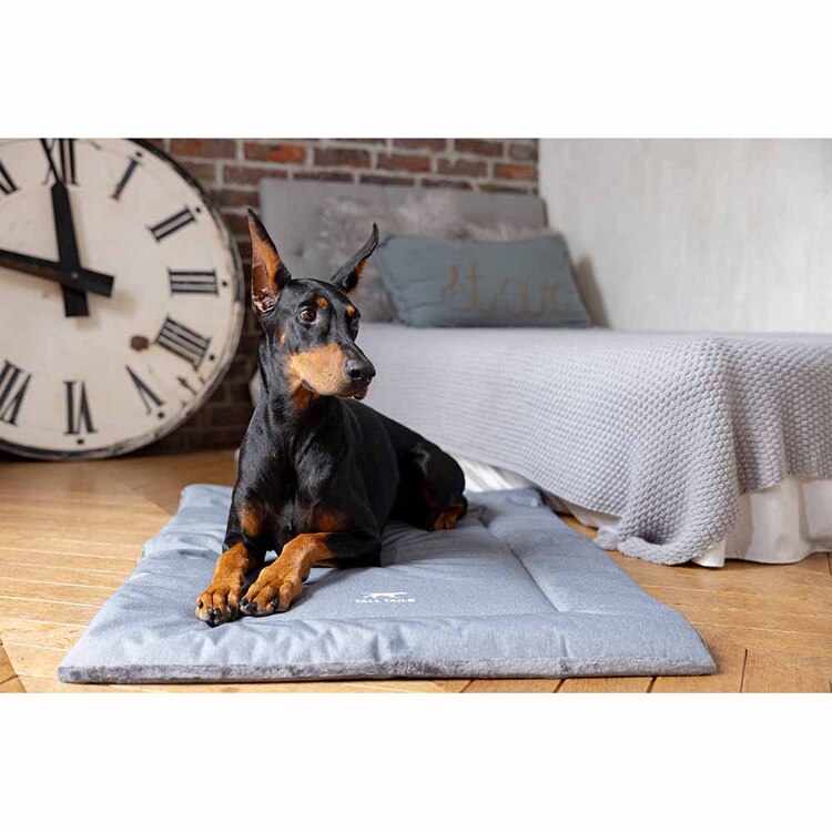 ダッドウェイペット クレート・ベッド/XL PTTL144228 【プラザセレクト】