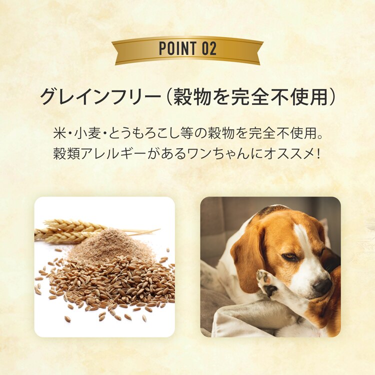 ルークラン デンタルバー　S 【プラザセレクト】