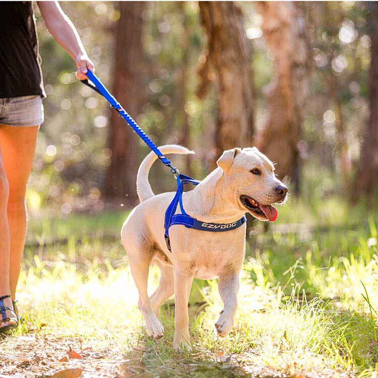 EZYDOG リード ゼロショック 64cm 【プラザセレクト】
