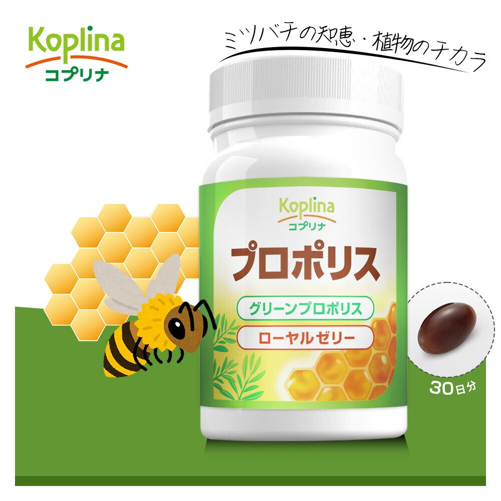 �R�v���i �v���|���X (���[�����[���[�z��) 60�� 30����