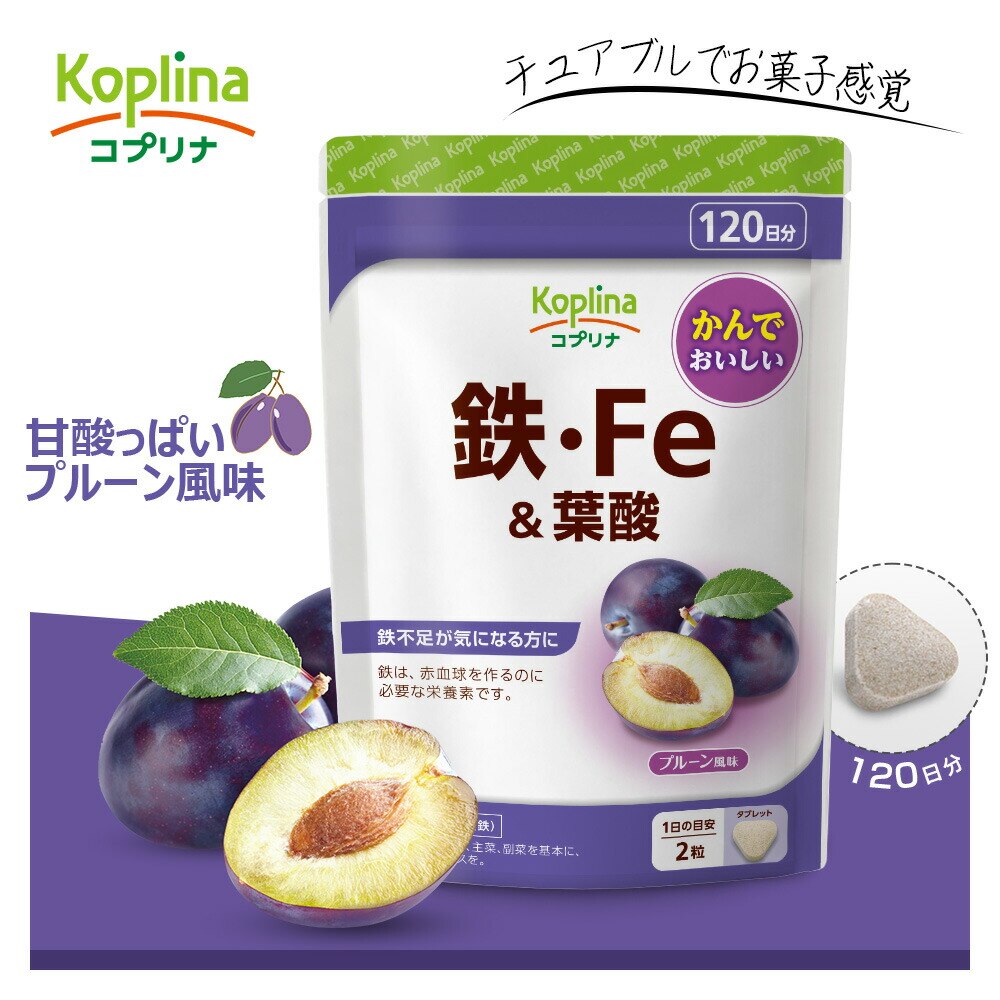 �R�v���i �S�EFe���t�_ 240�� 120����