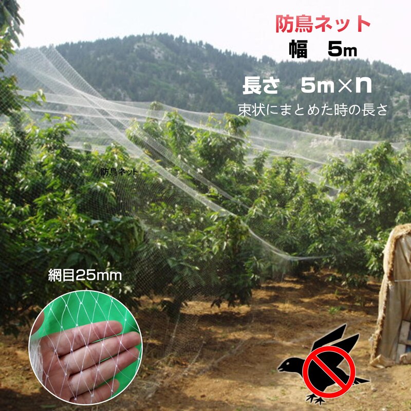 �h���l�b�g �h���� ���� ��5�� ����5�� �Ԗ�25mm ���� �i�C���� ���悯�l�b�g �J���X�悯 �Q�b �h�b �c��� �� �_�� �ʎ��� �� �x�����_ �ʕ� ��� �����Q�h�~