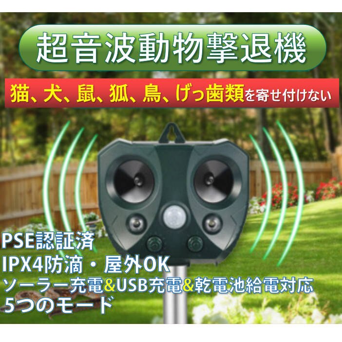 �L�悯 �����g�������� �� �������� �� �������A�΍� �Q�b �ǂ����� �\�[���[����USB�[�d�\ �쐶������Q �h�H �L �� �l�Y�~ �L�c�l �� �L �C�m�V�V�悯 ����