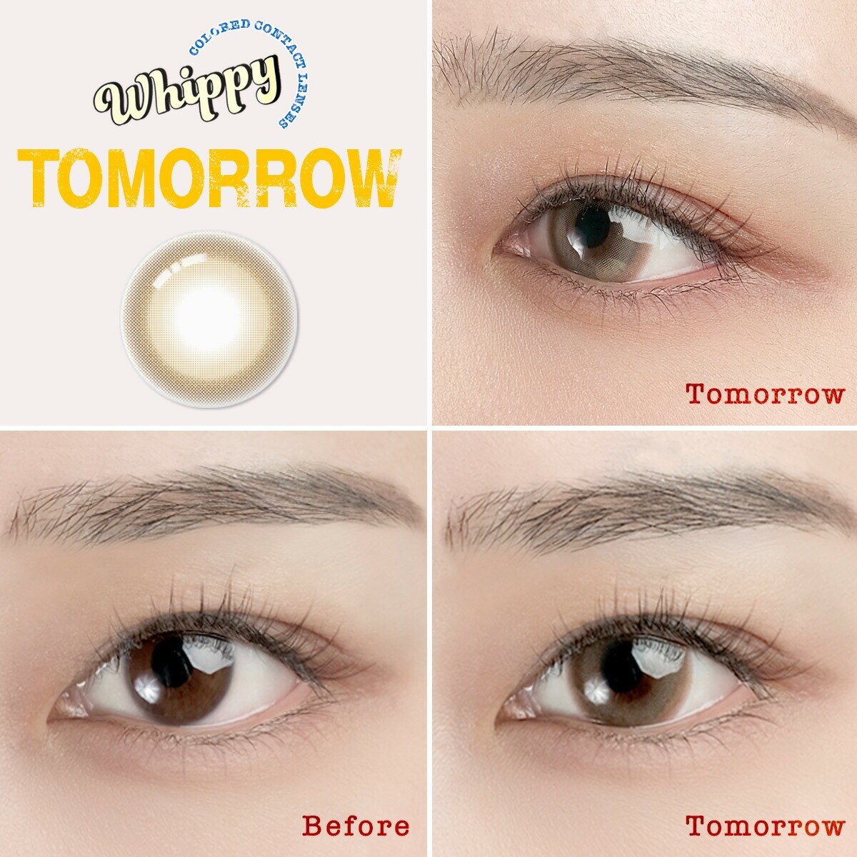 �y�g�D�����[�zWhippy 1MONTH �E�B�b�s�[ �}���X���[ �J���R���yBC�z8.6����  �yDIA�z14.2mm �y���F���a�z13.4mm �y�ܐ����z38.5% �x���� �x�Ȃ�