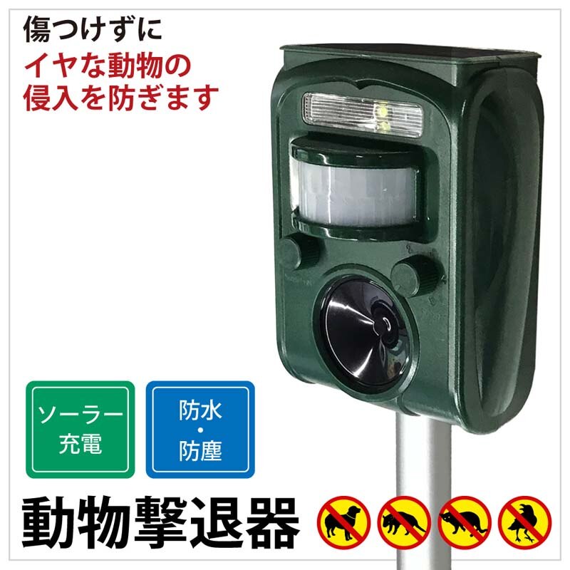 �L�悯 �Q�b���ފ� �������ފ� ����p�i �����g �x�� �P�i