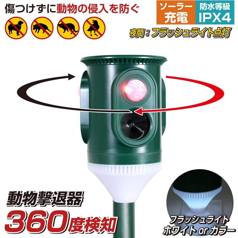 360�x���m �L�悯 �Q�b���ފ� �������ފ� ����p�i �����g �x�� �P�i