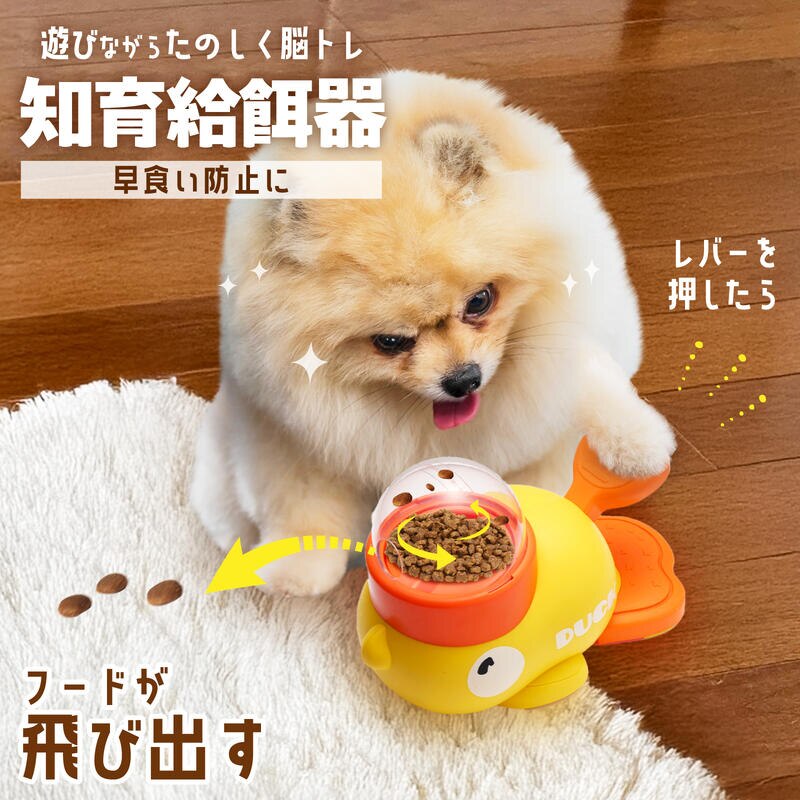 ���a�� �m�� �A�q�� ���a�� �y�b�g �m�� �� ����� ��яo������� ���̂������� ���H���h�~ �����Əo�� �������� �G�T �a���� �y�b�g�p�i �^���s��