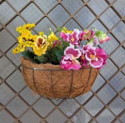 ���ԁ@���ԃp���W�[�̕Ǌ|������ ���A�����̂��鎺�������p