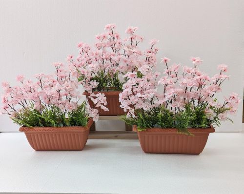 ���� ���v�����^�[ 3�_�Z�b�g �t ���� �f�C�X�v���C