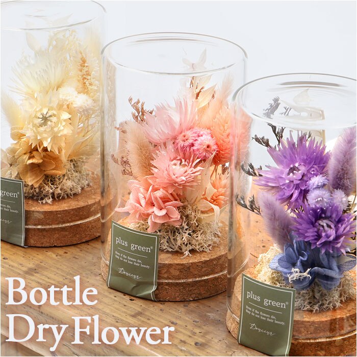 �h���C�t�����[ �K���X �ʔ� �{�g���t�����[ �R���N�{�g�� 75 �t�����[�A�����W�����g �K���X�{�g�� �v���U�[�u�h�t�����[ �t�����[�M�t�g �I�u�W�F �u�� �u���� ���� �� ������� �M�t�g ���j�� �a���� �h�V�̓�