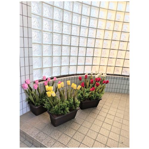 ���ԁ@�`���[���b�v�v�����^�[�@�S�F��肨�I�щ������@�t�̉��o�@�C�x���g���@�I�t�B�X�Ɂ@�y2�ȏエ�����グ���������z