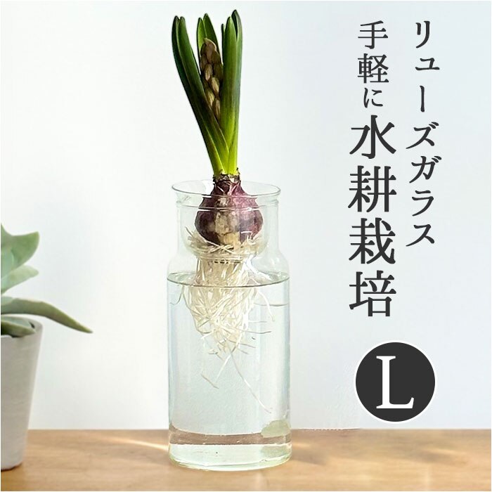 �t�����[�x�[�X �K���X �ʔ� �����[�Y�K���X �o���u �{�g�� L �ԕr ������� �t�����[�|�b�g �K���X�{�g�� �Ԃт� �g 19cm �傫�� ���T�C�N���K���X �� �� �ϗt�A�� �K�[�f�j���O �x�����_ ���킢�� ����