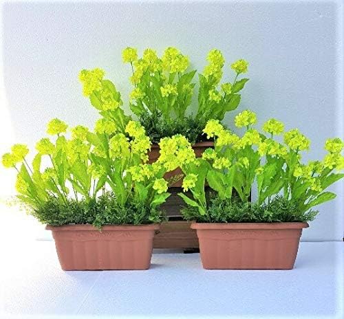 ���ԁ@�@�؂̉ԃv�����^�[3�_�Z�b�g